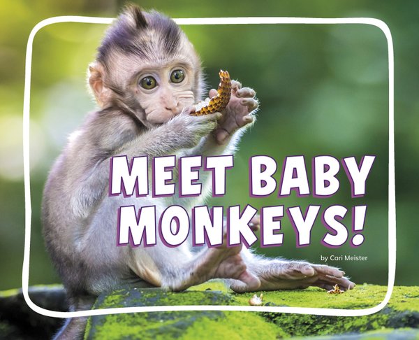 Meet Baby Monkeys! a book by Cari Meister - Bookshop.org US