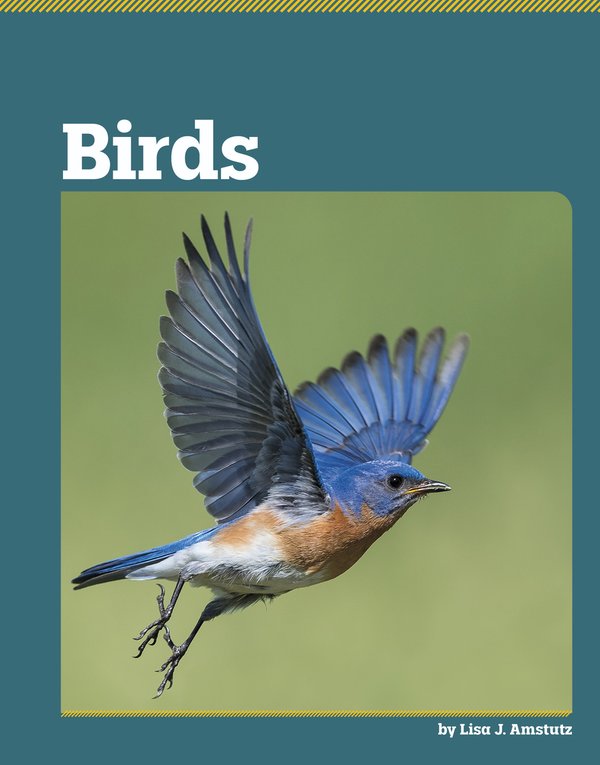 Birds a book by Lisa J Amstutz - Bookshop.org US