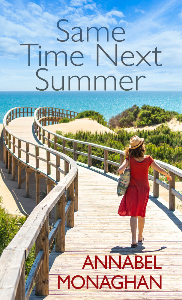 Same Time Next Summer bookcover