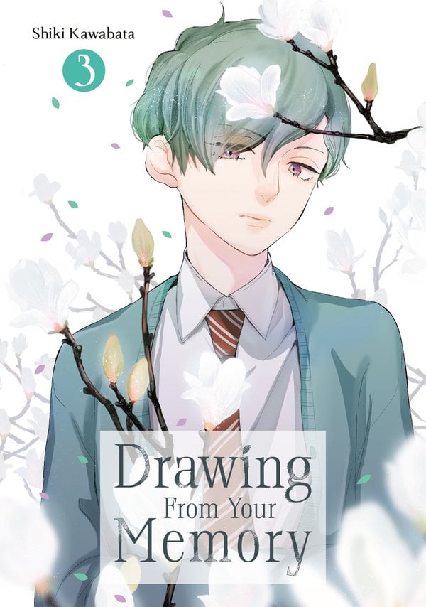 Drawing From Your Memory 3 bookcover