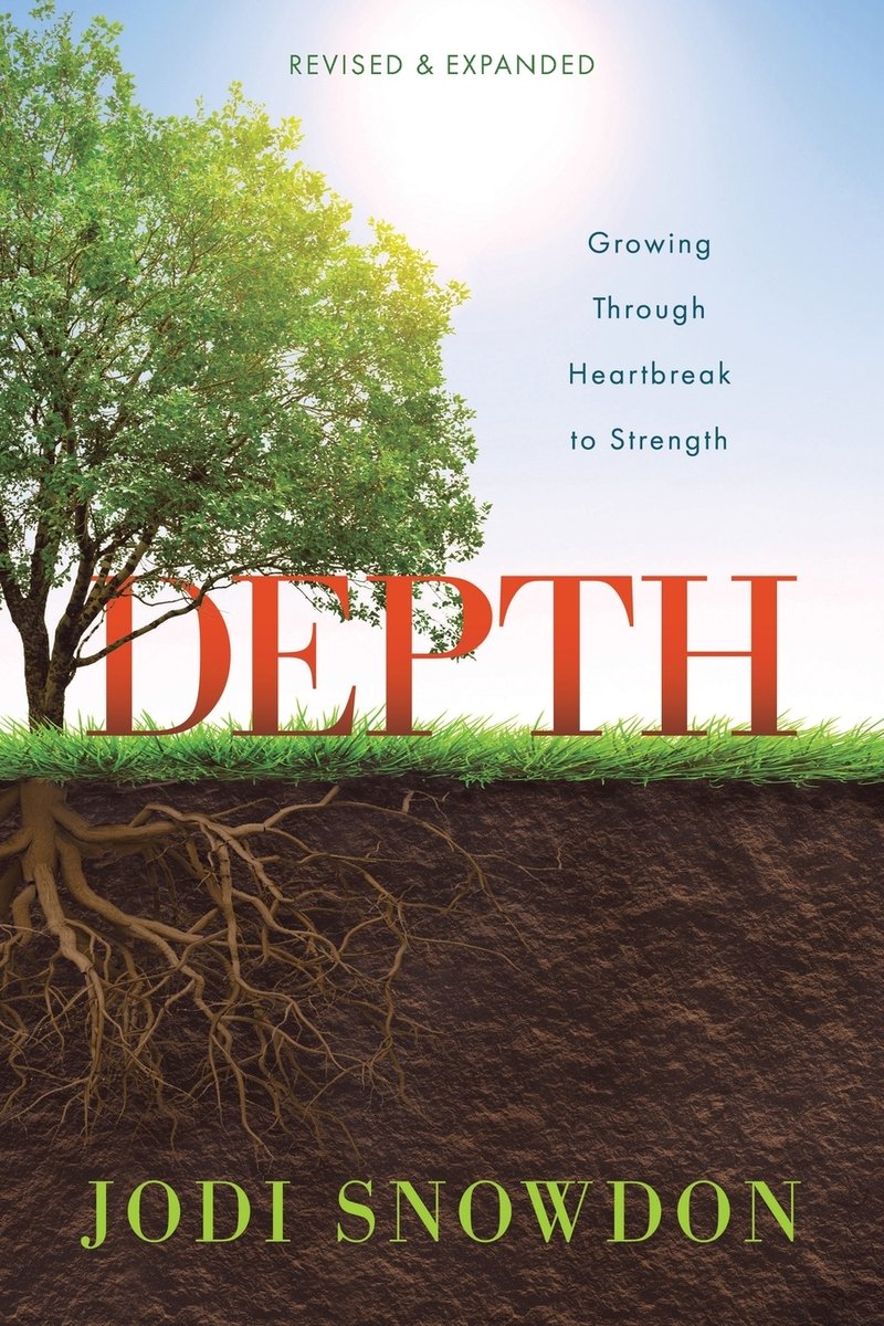 Depth a book by Jodi Snowdon - Bookshop.org US