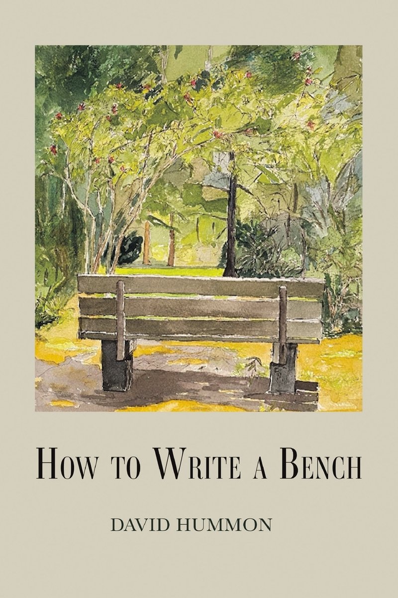 How to Write a Bench a book by David Hummon - Bookshop.org US