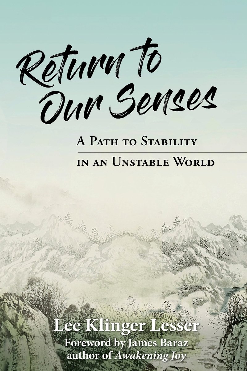 Lesser Author Return to Our Senses a book by Lee Klinger Lesser - Bookshop.org US